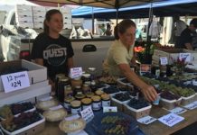 Charlottesville City Market in Full Bloom
