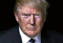 OPINION: How Donald Trump won the Presidency