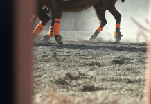 Going Clubbing: Episode 3 – Polo