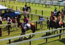 The Fate of Foxfield Remains in Question