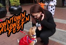 Costume Review: Downtown Mall