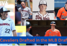 Virginia Baseball Players Drafted to the MLB